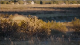 Tracker - Season 04 Episode 03